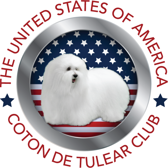 Available Beach Coton de Tulear Puppies Pittsburgh PA