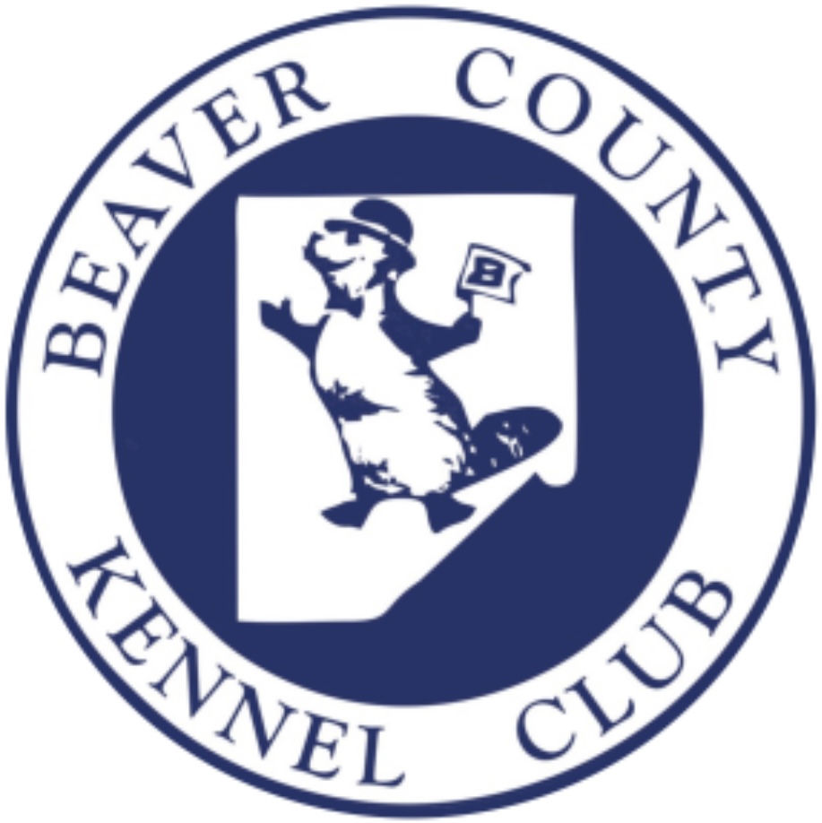 Beach Cotons Beaver County Kennel Club Image