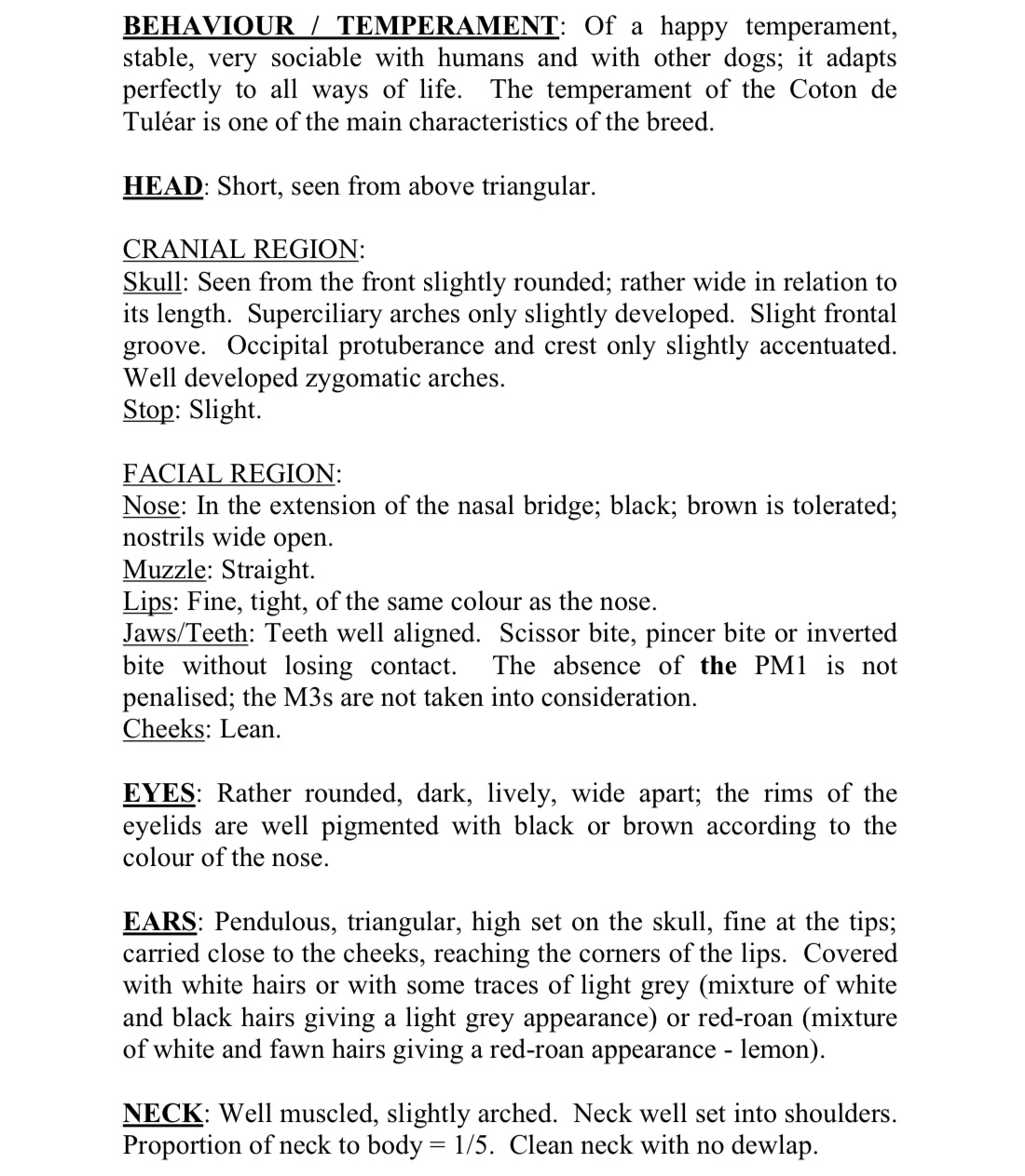 Beach Cotons of PA FCI Breed Standard