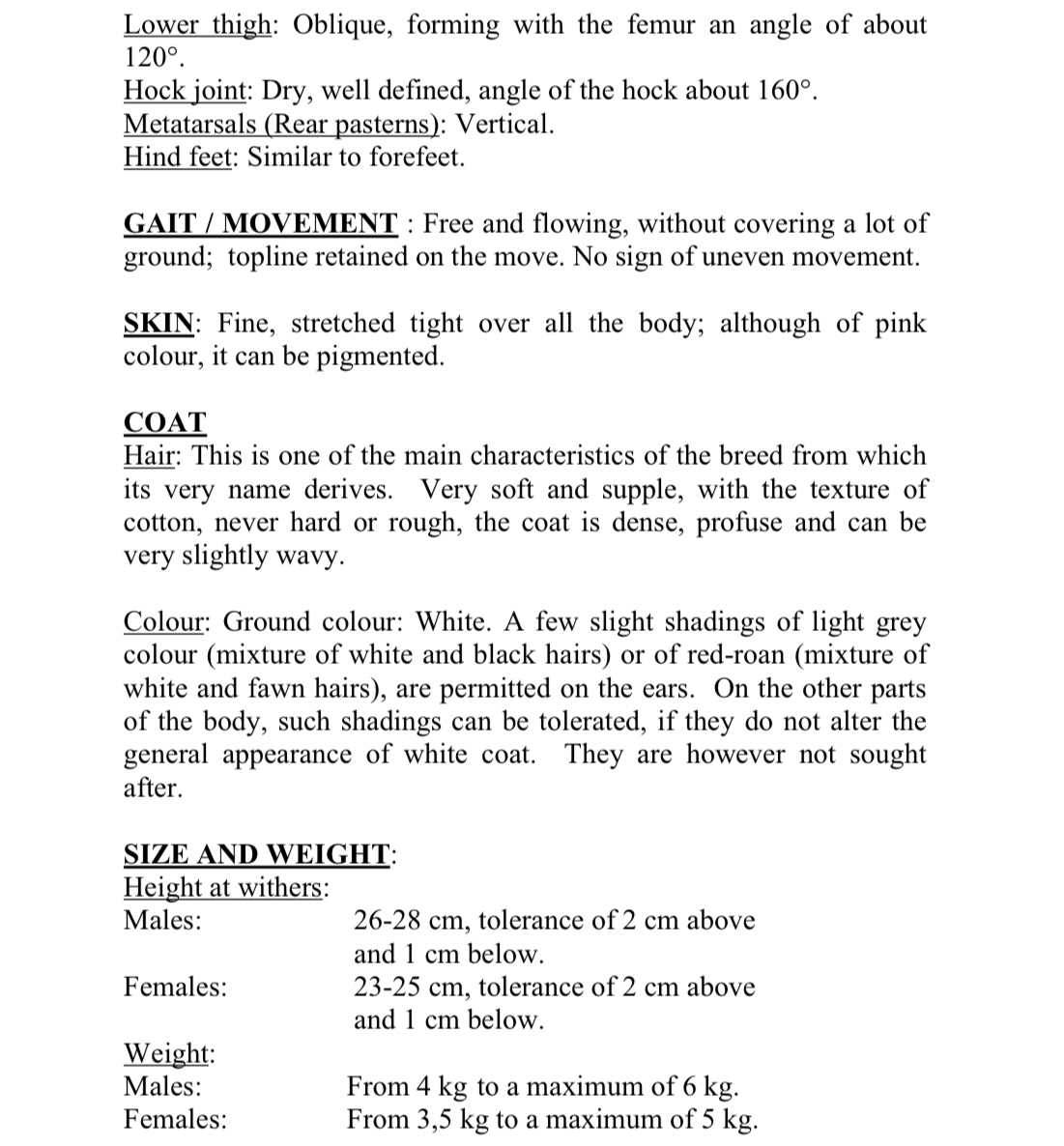 Beach Cotons of PA FCI Breed Standard