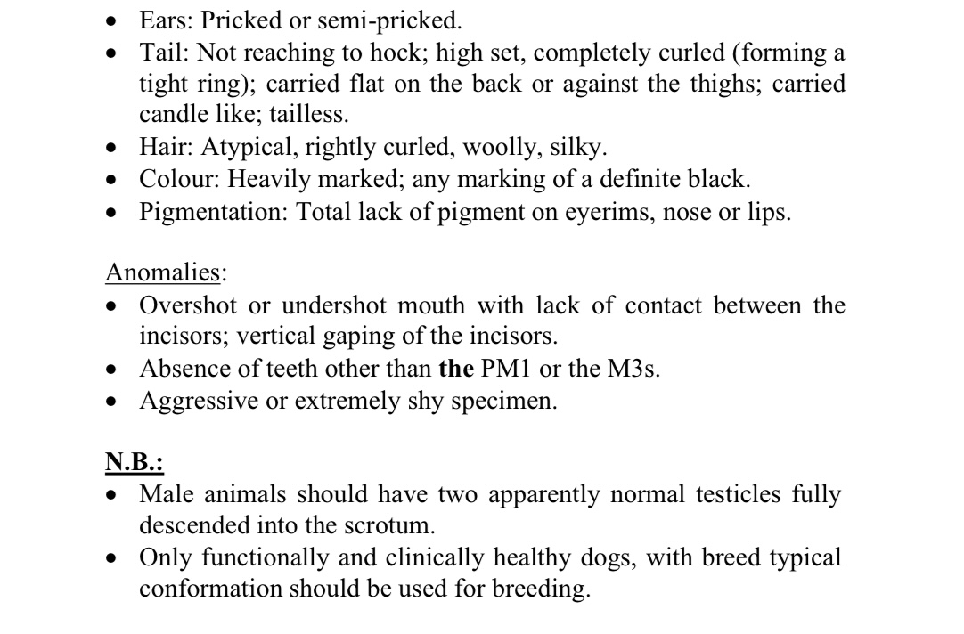 Beach Cotons of PA FCI Breed Standard