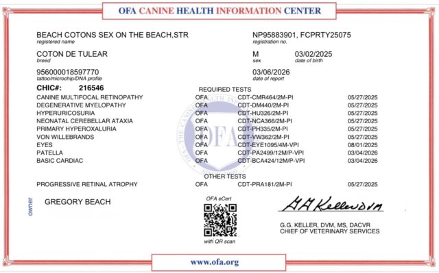 Beach Cotons Sex On The Beach, Tito, OFA Health Certificate