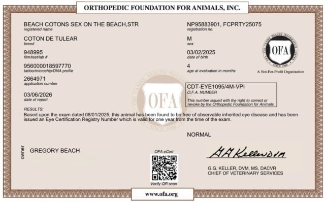 Beach Cotons Sex On The Beach, Tito, OFA Health Certificate