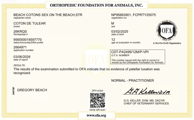 Beach Cotons Sex On The Beach, Tito, OFA Health Certificate