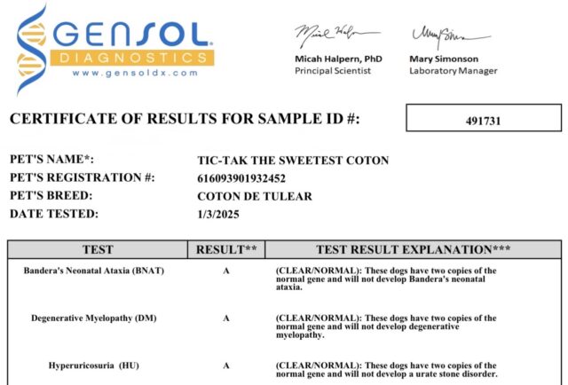 Tic-Tak The Sweetest Coton Health Tests