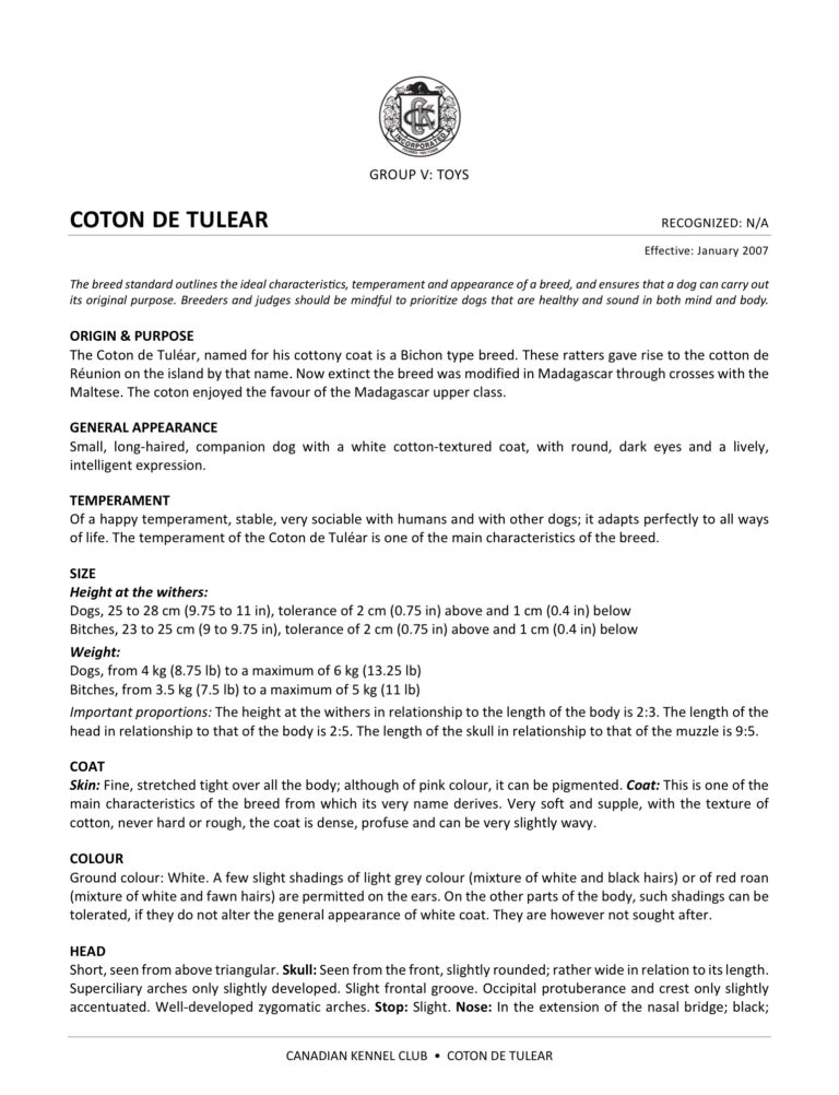 CKC COTON DE TULEAR STANDARD