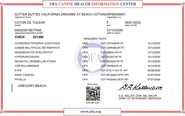 Sutter Buttes California Dreamin’ at Beach Cotons, Cally, OFA Health