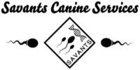 Savants