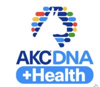 AKC DNA