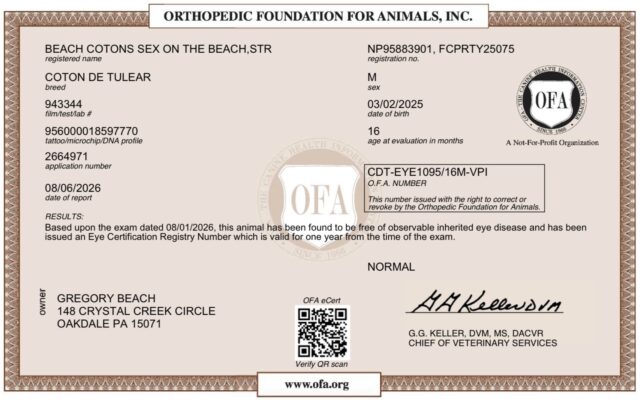 Tito’s 2026 OFA Eye Recertification