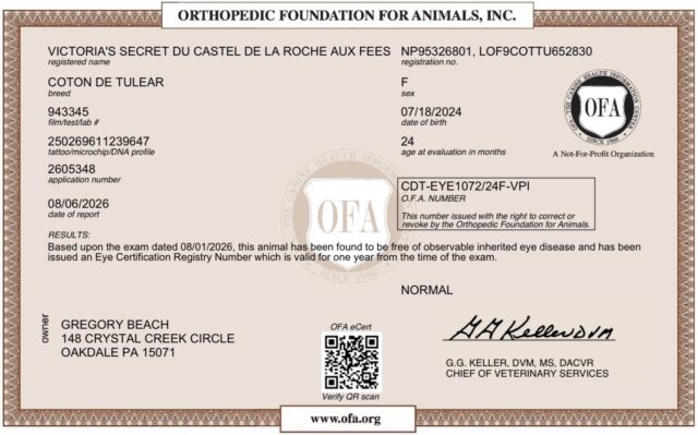 Tori’s 2026 OFA Eye Recertification