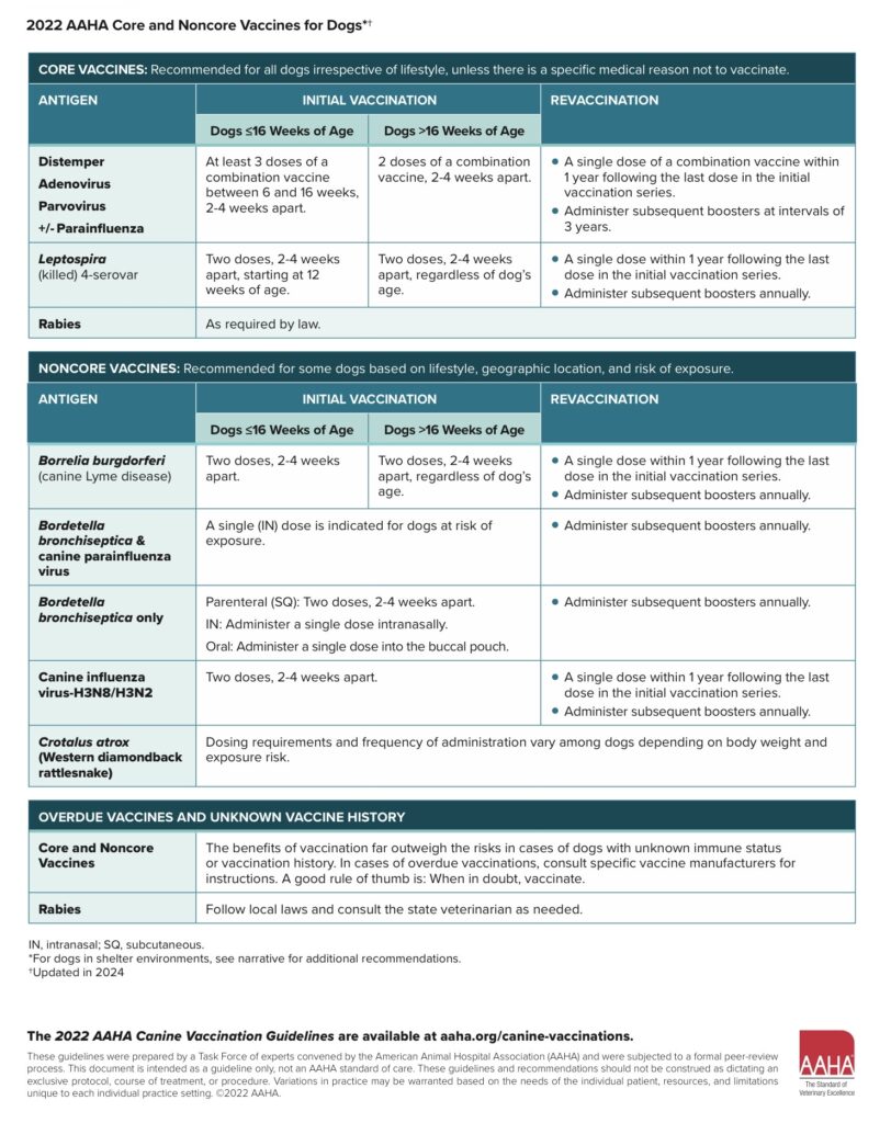 AAHA Canine Vaccination Guidelines