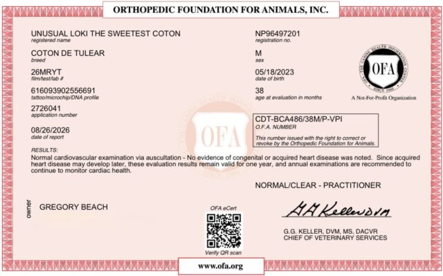 Loki’s OFA Results