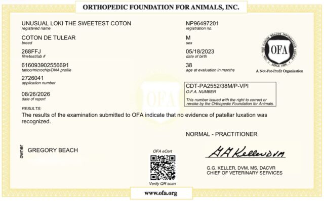 Loki’s OFA Results