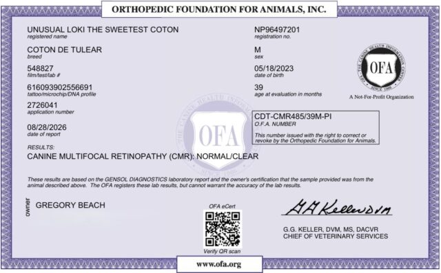 Loki’s OFA Results