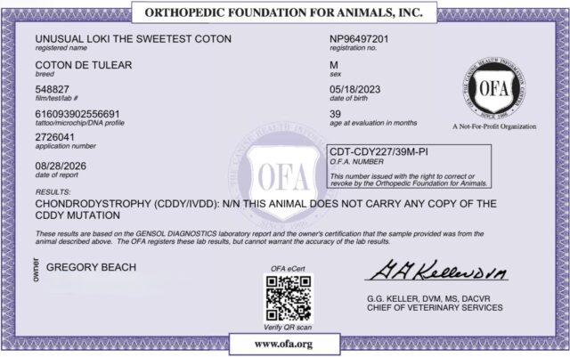 Loki’s OFA Results