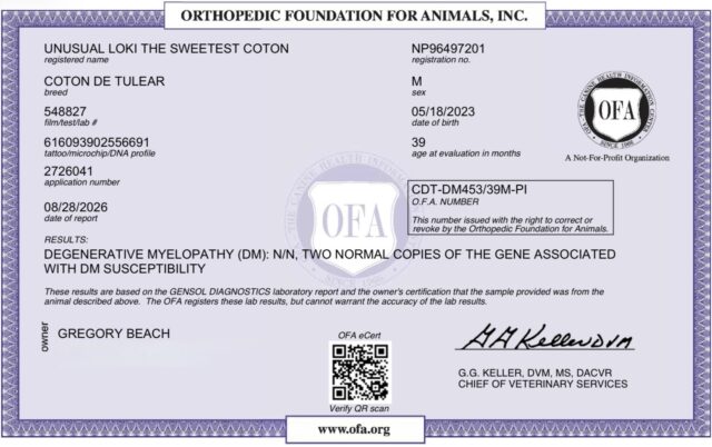Loki’s OFA Results