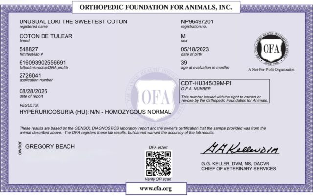Loki’s OFA Results