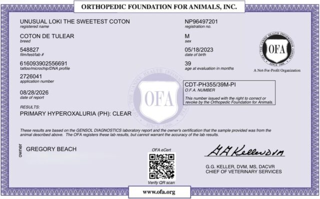 Loki’s OFA Results