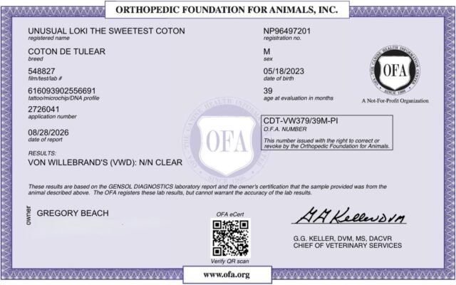 Loki’s OFA Results