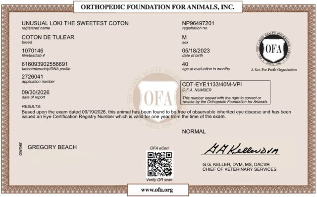 Loki’s OFA Results
